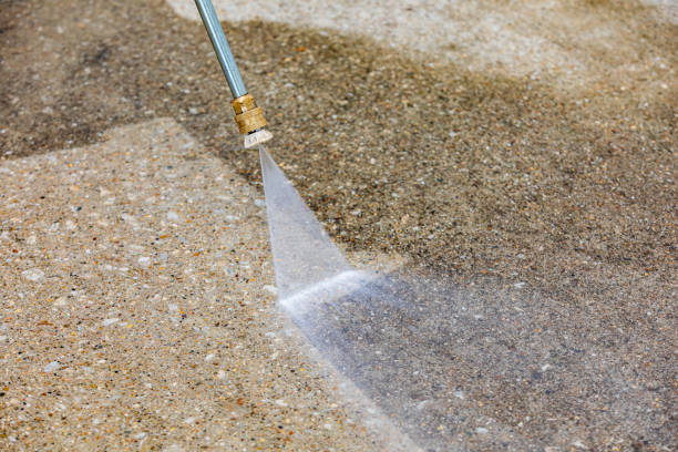 Best Patio and Deck Pressure Washing  in Pleasureville, KY