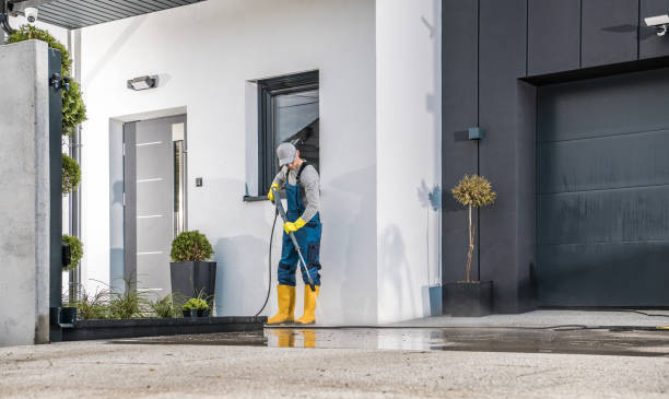 Best Boat and Dock Cleaning  in Pleasureville, KY